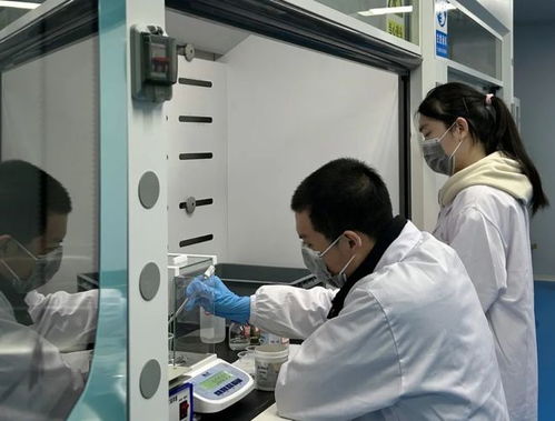 物聯網技術研發 新能源新材料產業創新的璀璨引擎